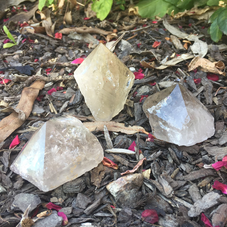 Smoky Quartz Cut Base Polished Point
