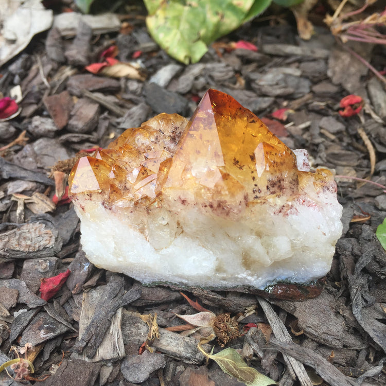 Citrine Druse Medium