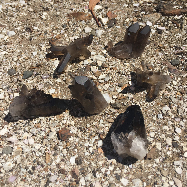 Smoky Quartz Clusters Medium