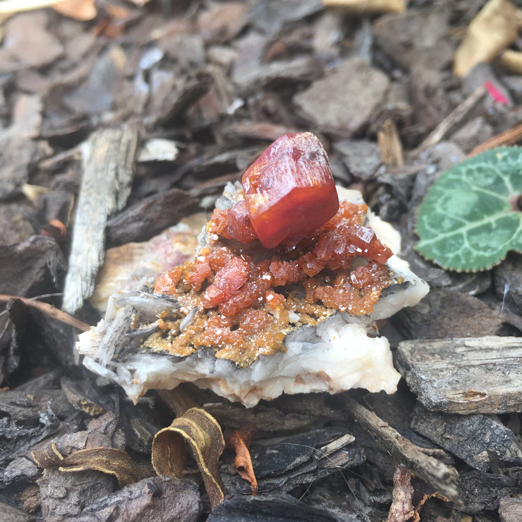 Vanadinite Specimen 2
