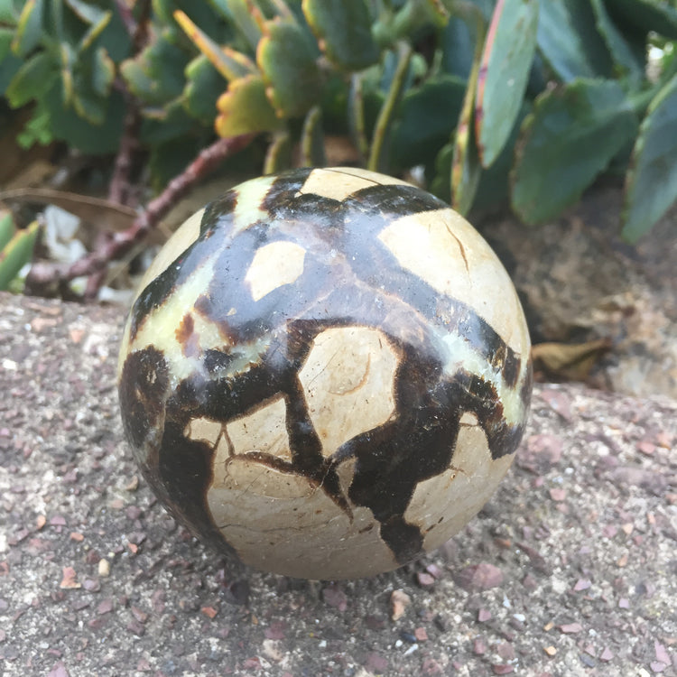 Septarian Sphere