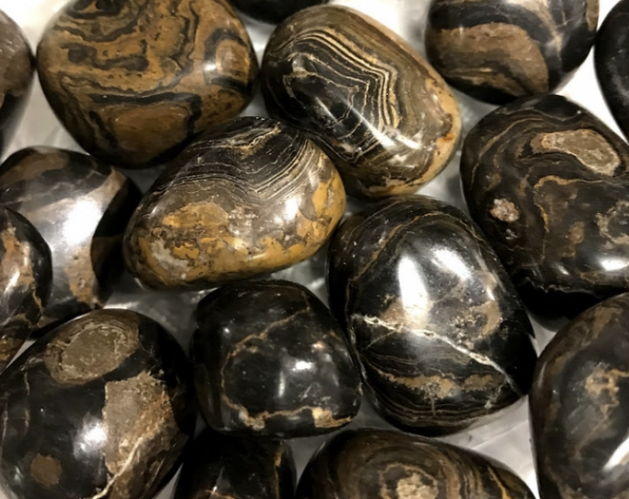 Stromatolite Tumble Stone