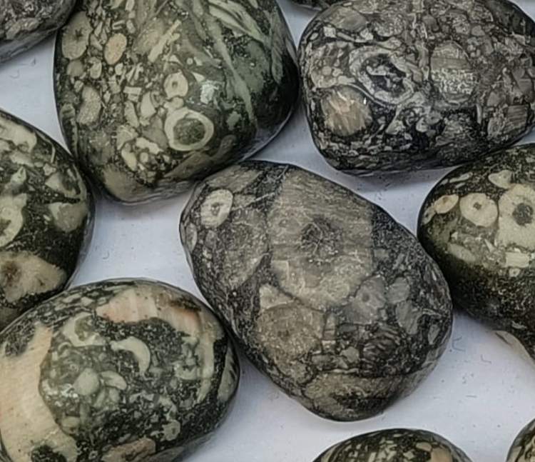 Fossil Jasper Tumble