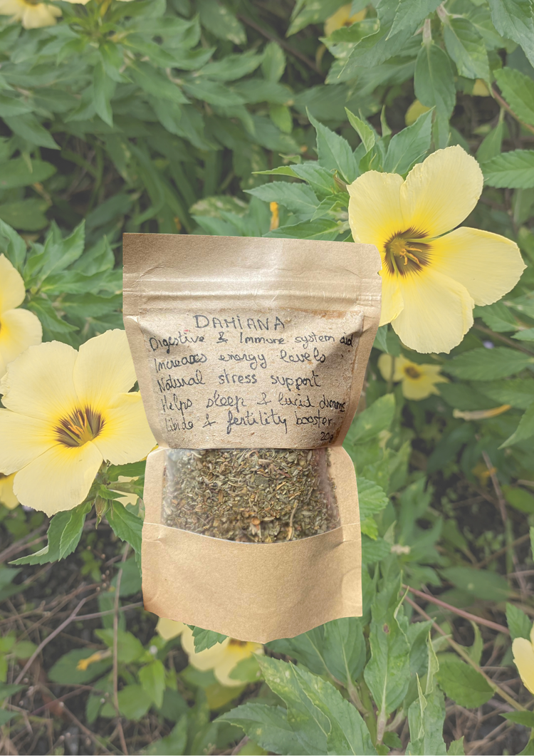 Damiana Infusion 20g