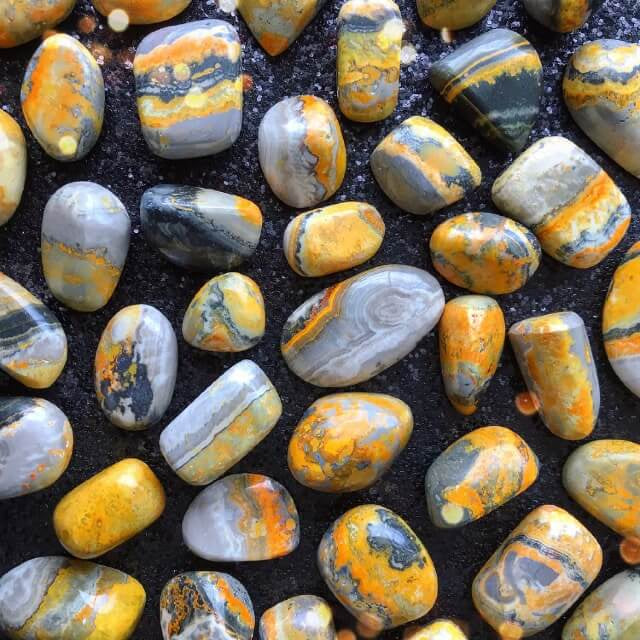 Bumblebee Jasper Tumble