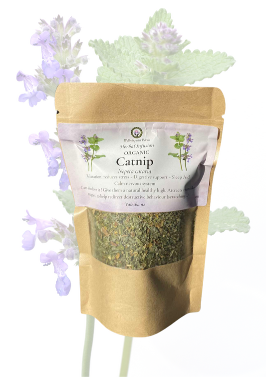 Catnip Herb for Cats and Humans (20g)