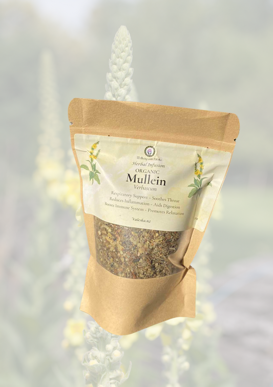 Mullein Herb Infusion (20g)