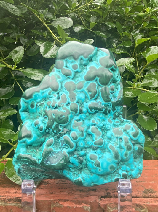 Chrysocolla Malachite Freeform