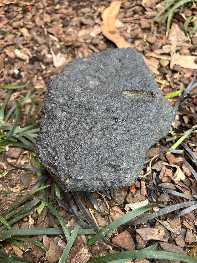 New Zealand Obsidian — Large Piece (Found in Kerikeri)