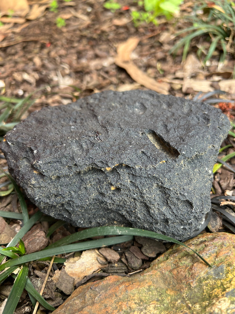 New Zealand Obsidian — Large Piece (Found in Kerikeri)