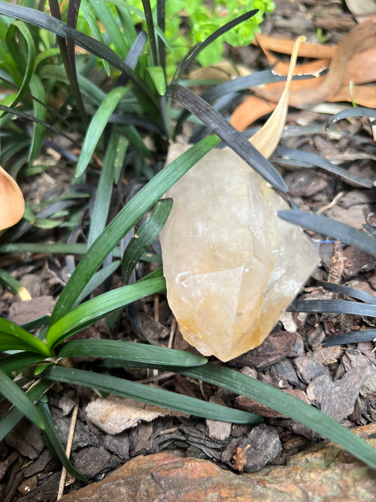 Elestial Quartz Point