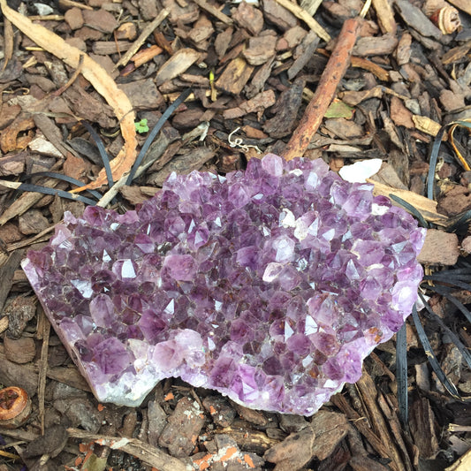 Amethyst Druse Medium 1