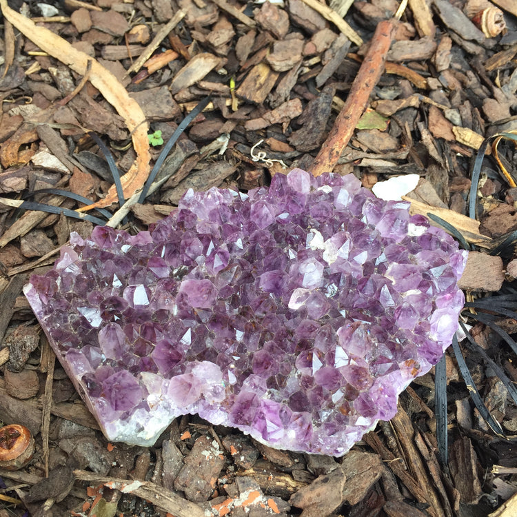 Amethyst Druse Medium 1