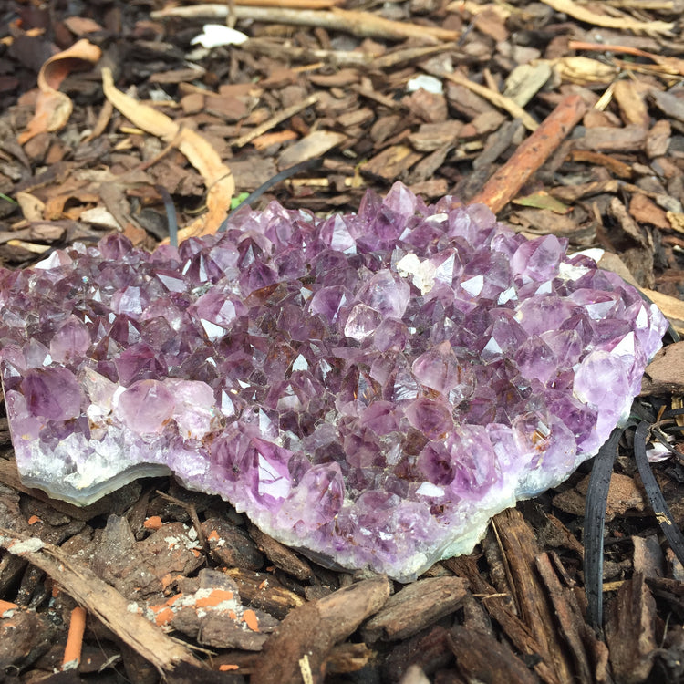 Amethyst Druse Medium 1