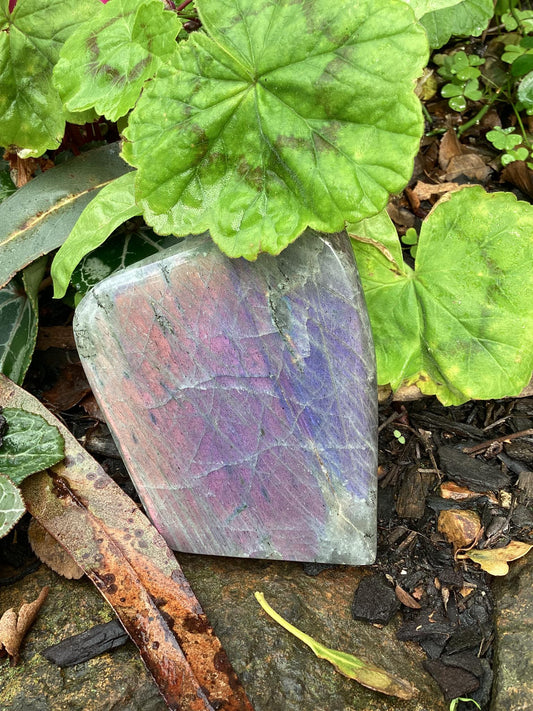 Purple Labradorite Freeform