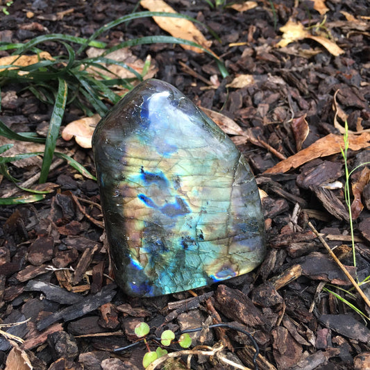 Labradorite Freeform 4