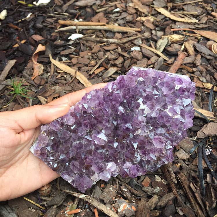 Amethyst Druse Medium 1