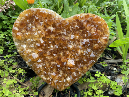 Citrine Druse Semi-Polished Heart