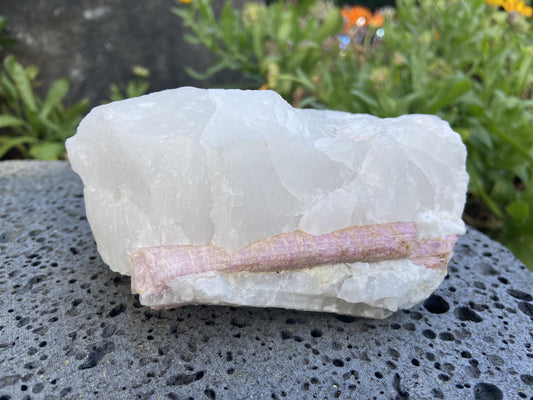 Pink Tourmaline in Quartz Specimen