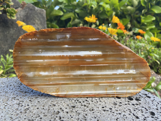 Natural Agate Slice Large 1