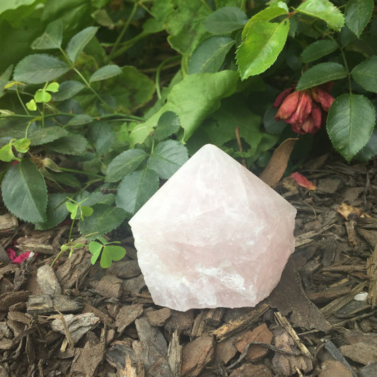 Rose Quartz Polished Point Large