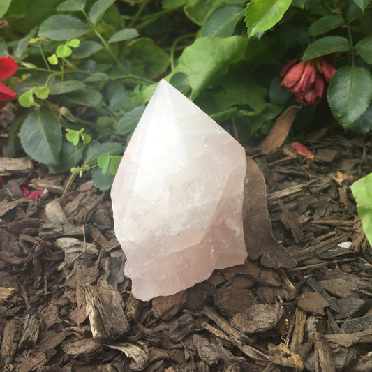 Rose Quartz Polished Point Large