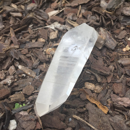 Lemurian Quartz Medium Point 3