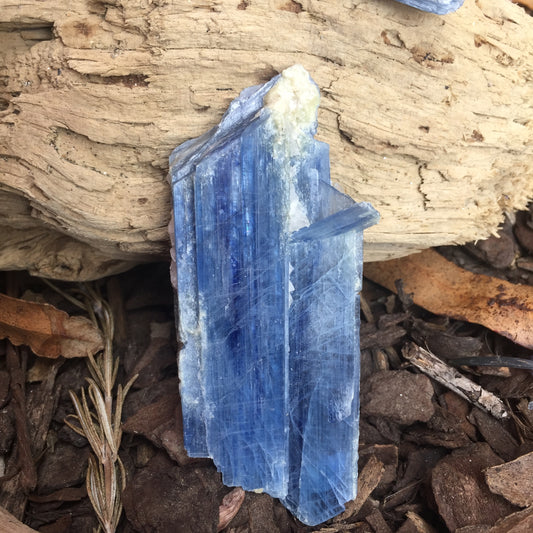 Blue Kyanite with Quartz Specimen