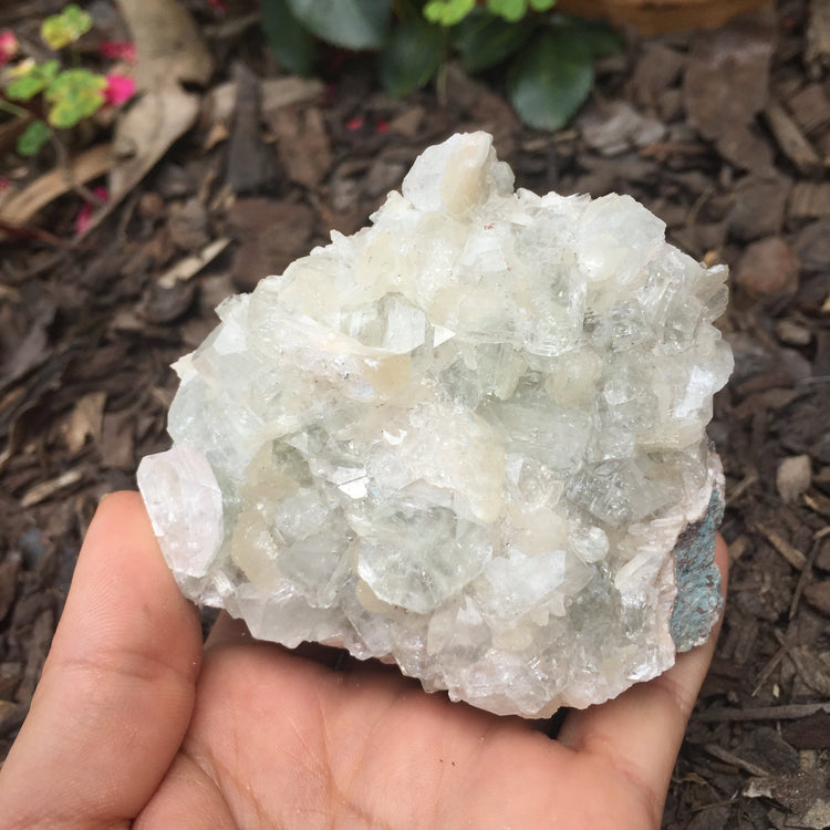 Apophyllite & Stilbite Zeolite Standing Specimen