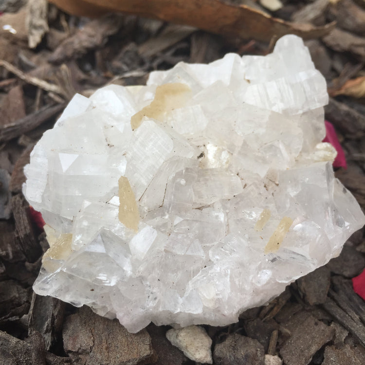 Apophyllite Cluster Zeolite 5