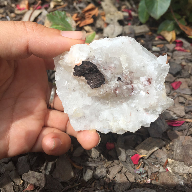 Apophyllite Cluster Zeolite 5