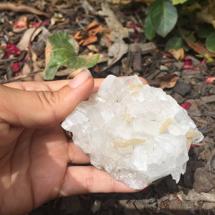 Apophyllite Cluster Zeolite 5