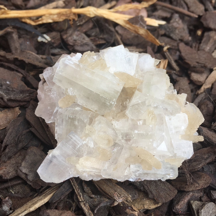 Apophyllite & Stilbite Zeolite Cluster Medium 2