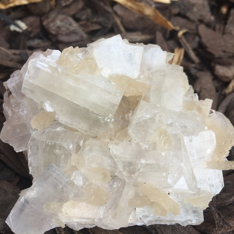 Apophyllite & Stilbite Zeolite Cluster Medium 2