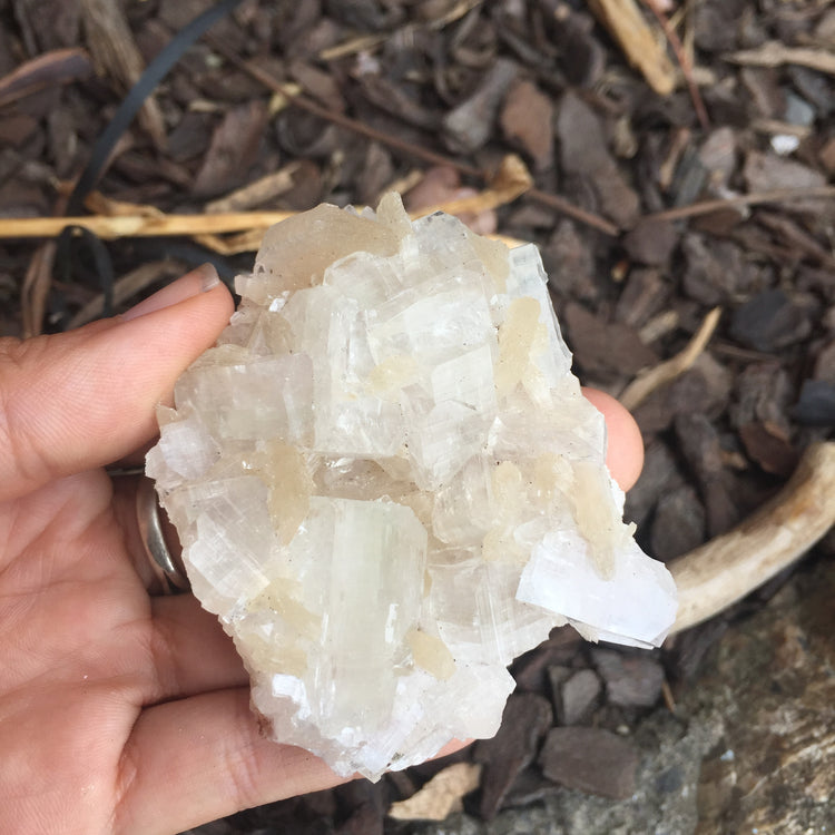 Apophyllite & Stilbite Zeolite Cluster Medium 2