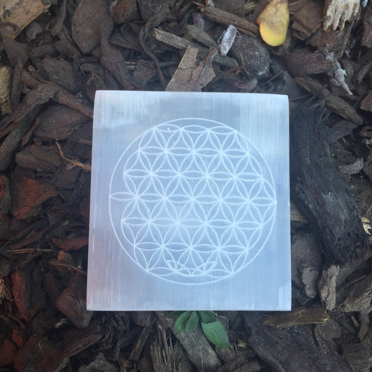 Selenite Square Charging Plate with Flower of Life
