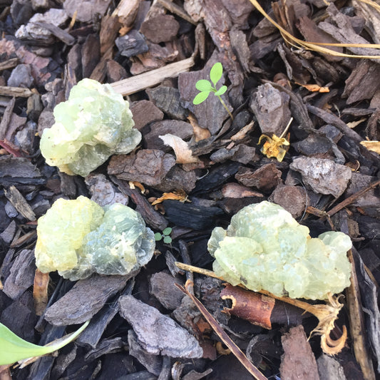 Prehnite Cluster
