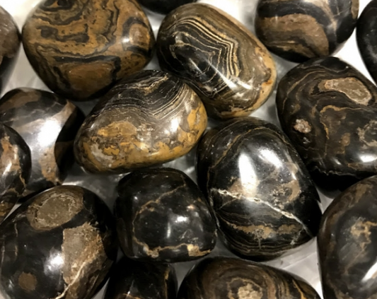 Stromatolite Tumble Stone