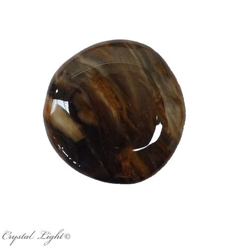 Petrified Wood Flatstone